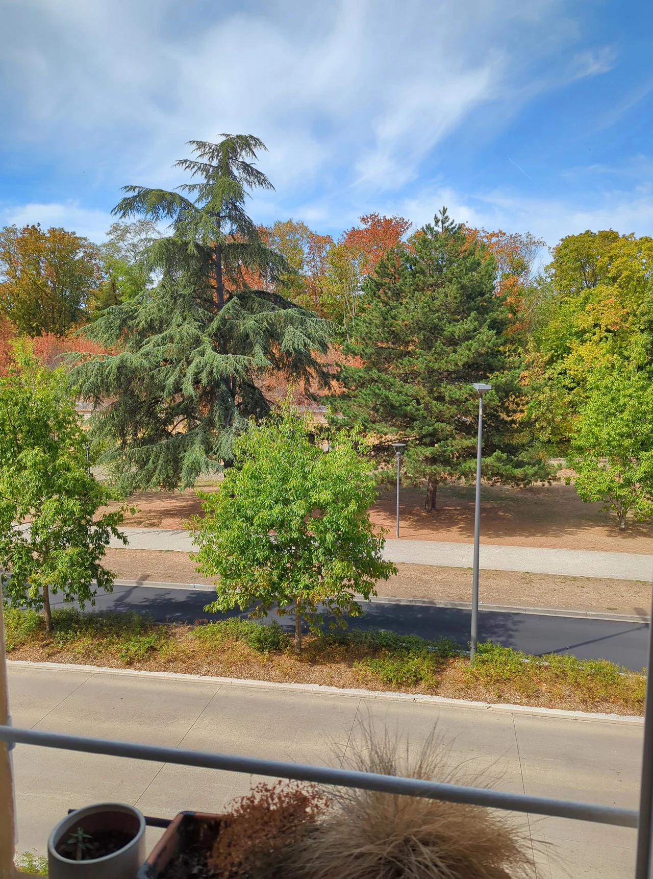Vue depuis l’appartement sur les arbres et le parc